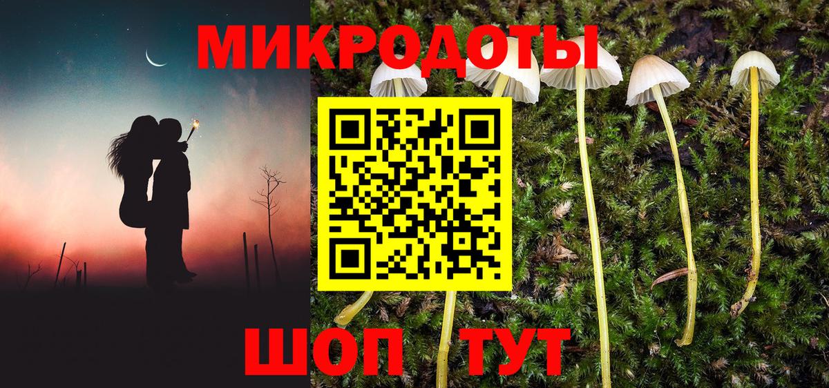 Белореченск  наркошоп  Вход с VPN  Галлюциногенные грибы мицелий 