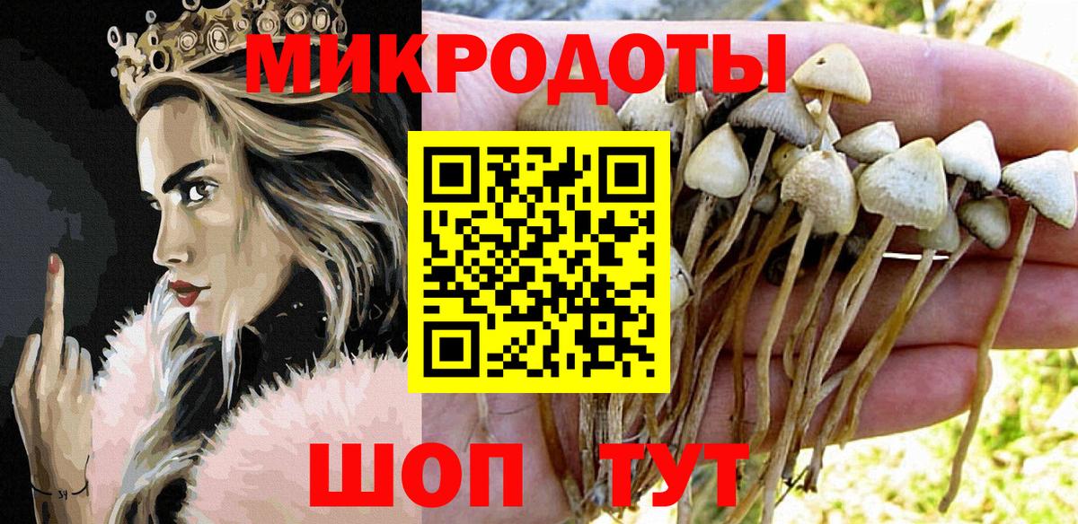 Галлюциногенные грибы ЛСД Белореченск